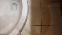 brown spots near toilet. Probably paint.