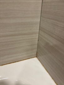 shower mold