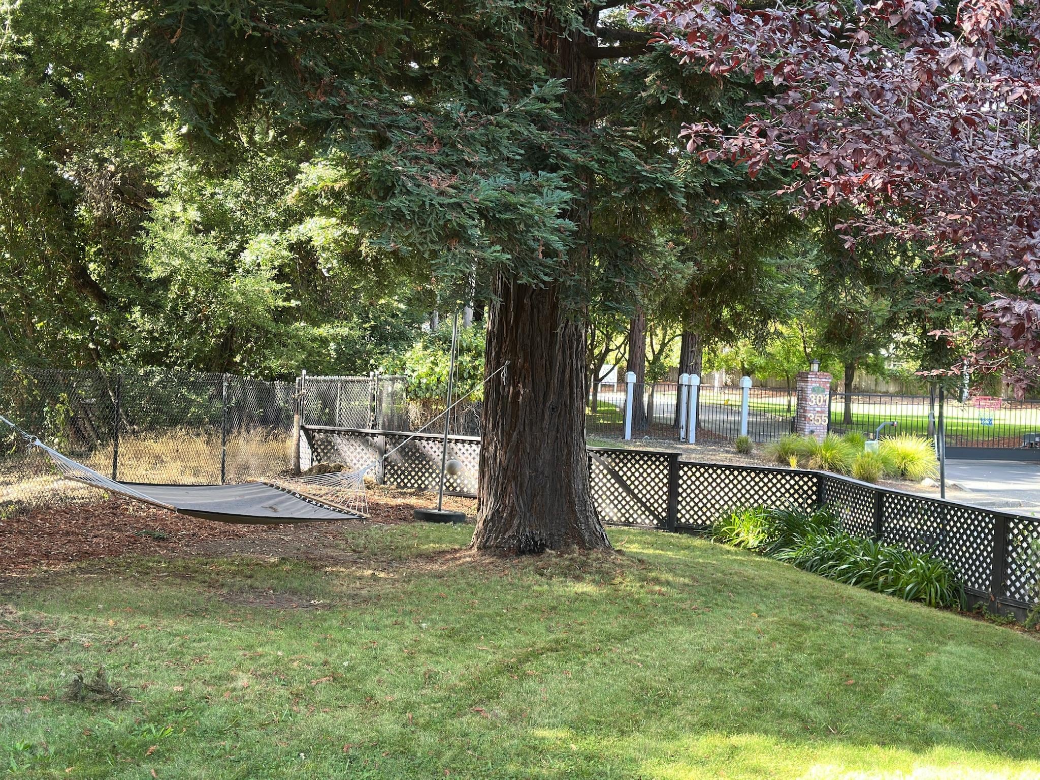 Front yard hammock and green space 