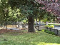 Front yard hammock and green space
