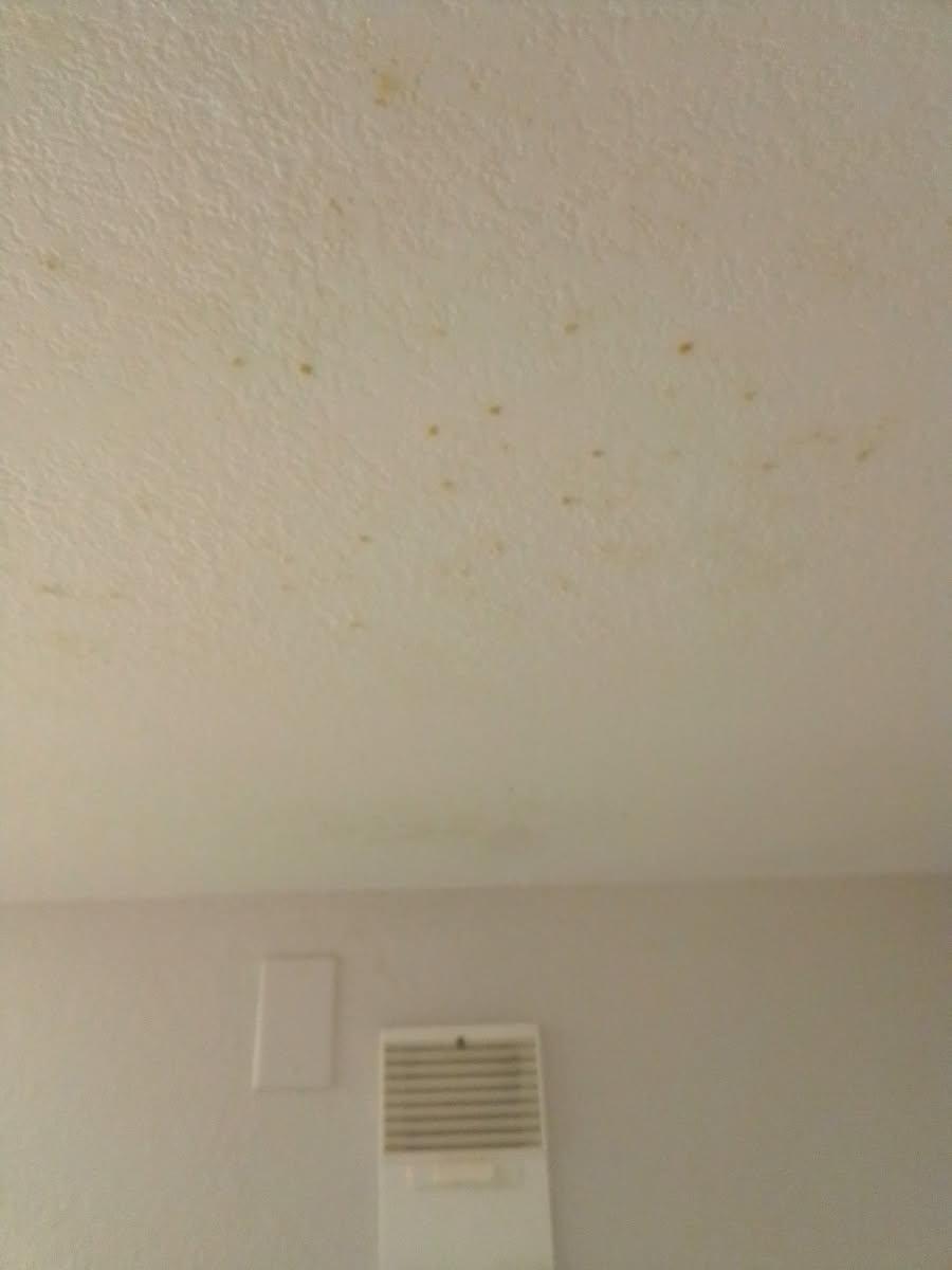 Mold on ceiling - Unsanitary - MAJOR HEALH HAZARD!