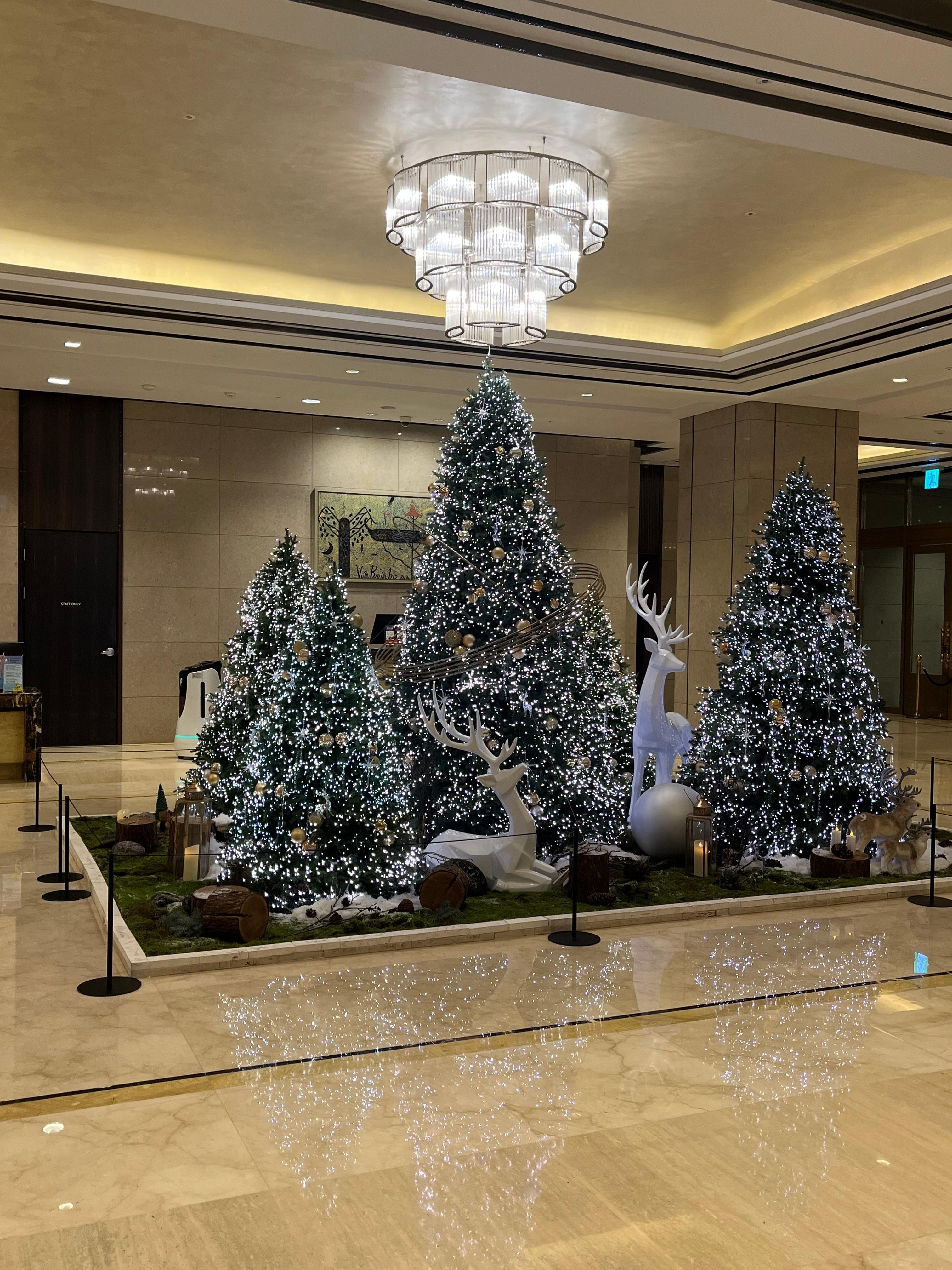 クリスマスディスプレイ