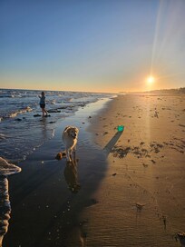 Beautiful sunsets