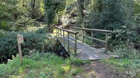 Woodland walk directly from the property