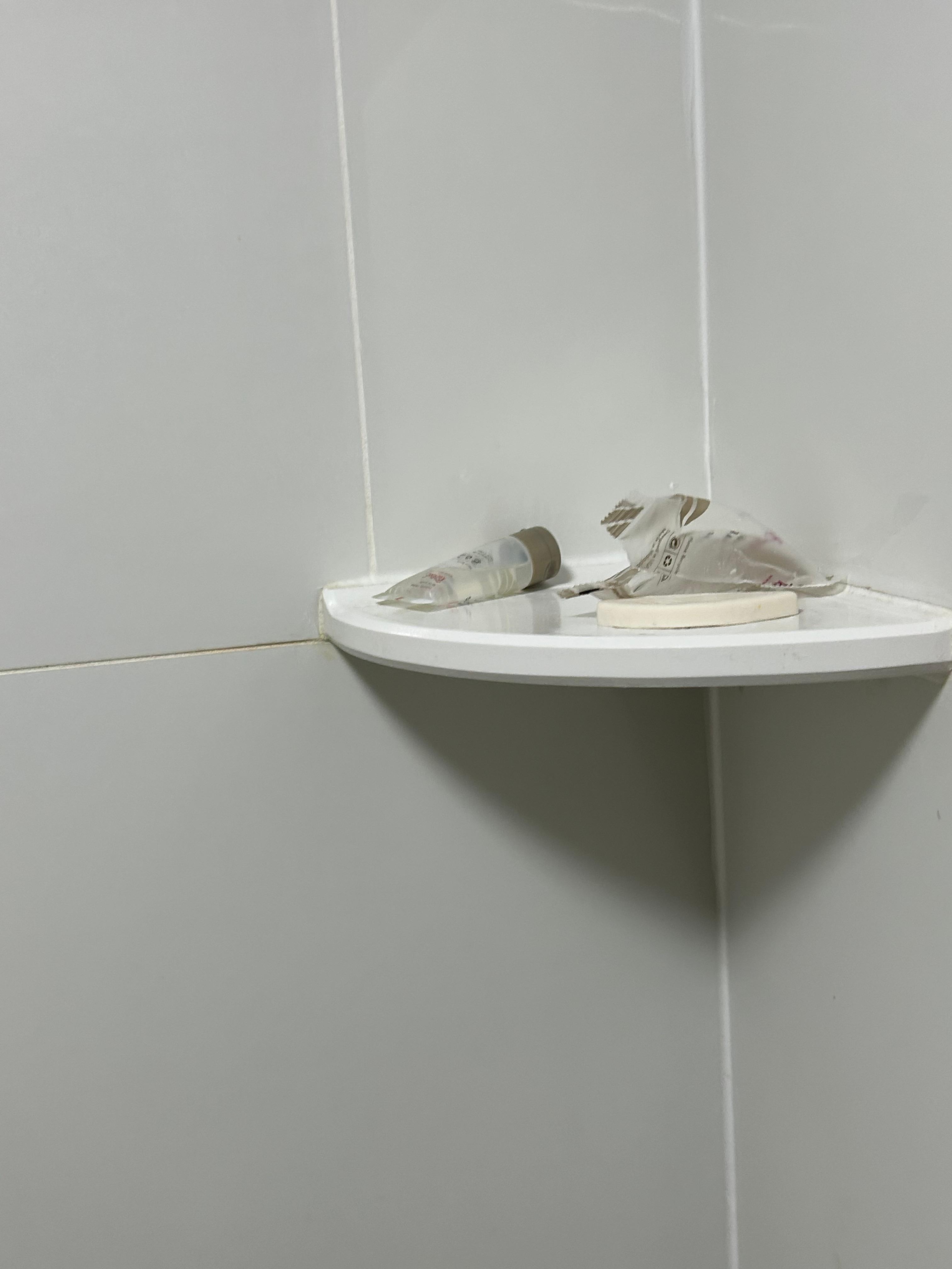 Used shampoo and soap left in soap dish 