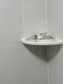 Used shampoo and soap left in soap dish