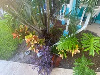 Outside my room