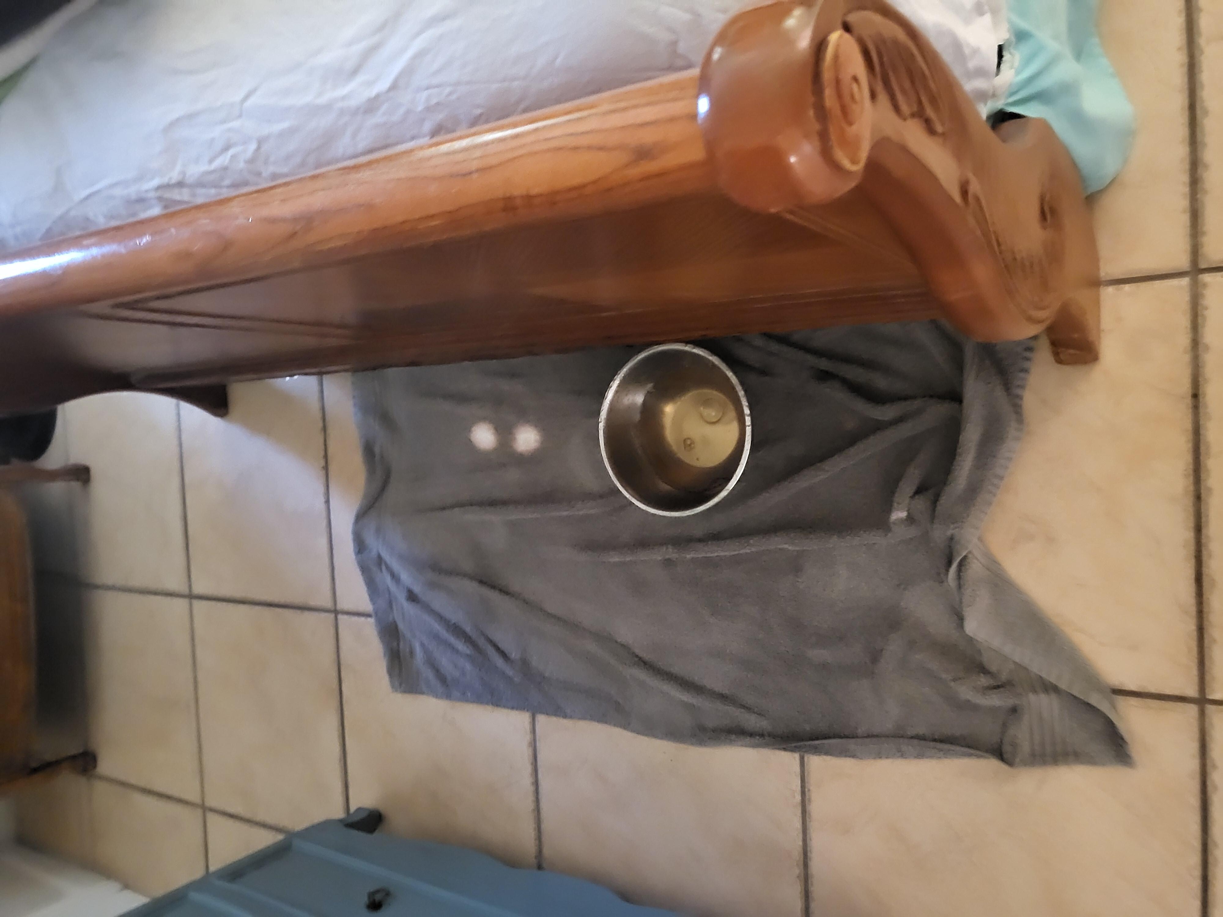 Water collected overnight