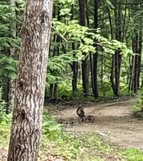 Our neighbors came to say hi!