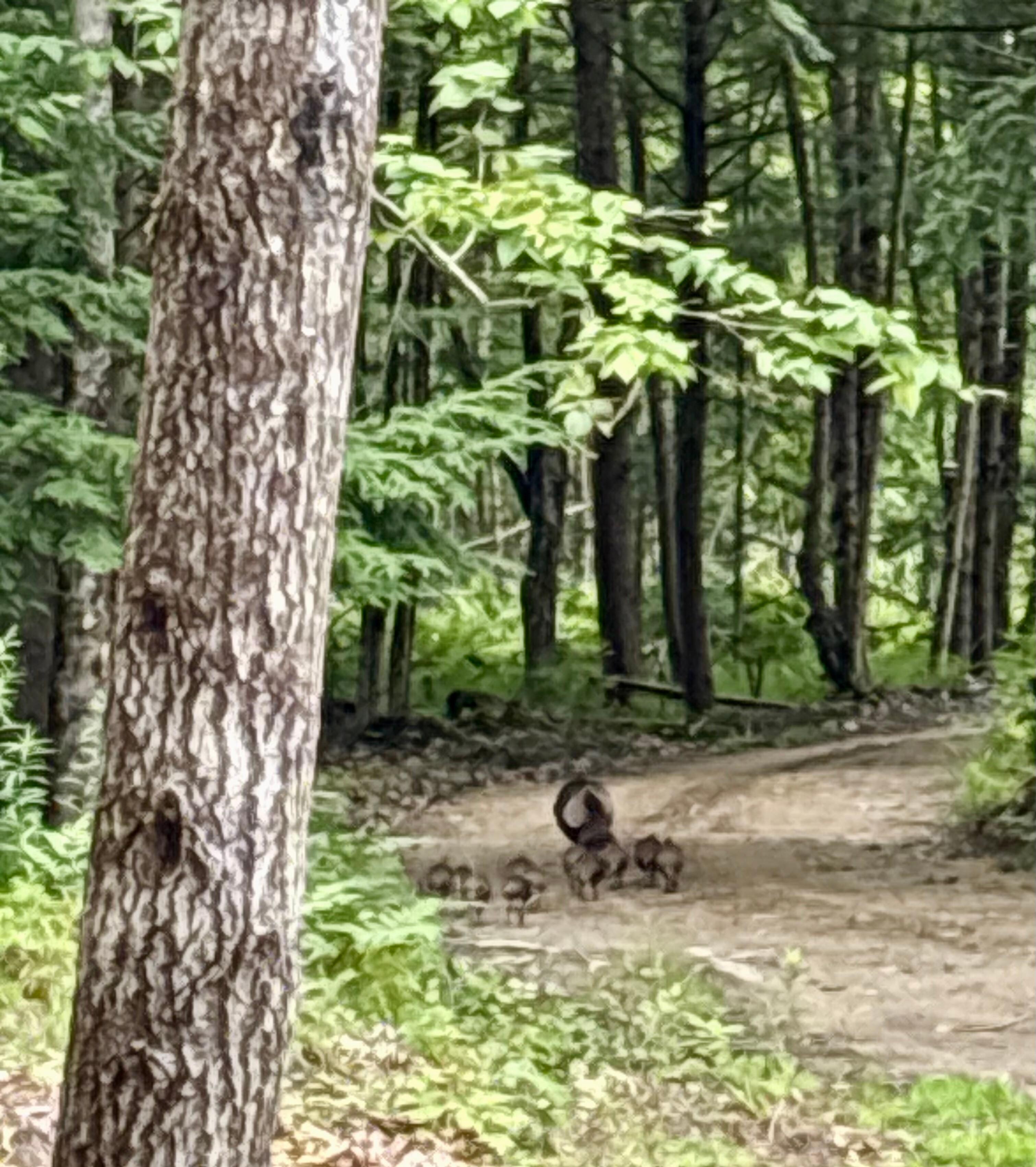 Our neighbors came to say hi!