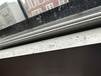 dirt on both windows - remains of masonry