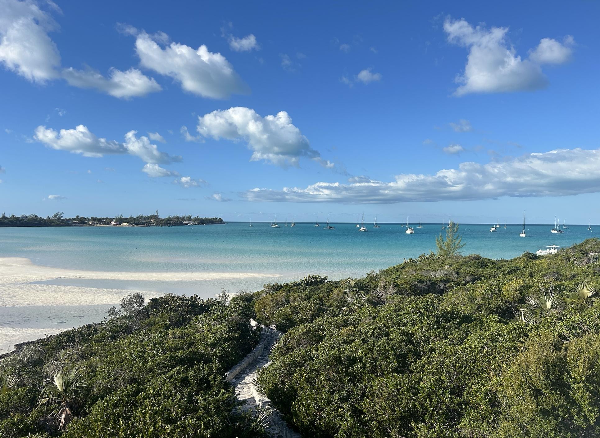 View from the back porch