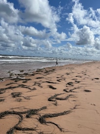 More beach to explore