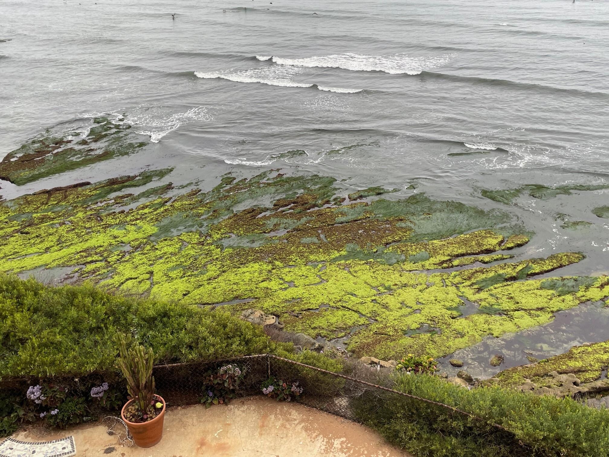Low Tide