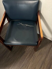 These are the chairs