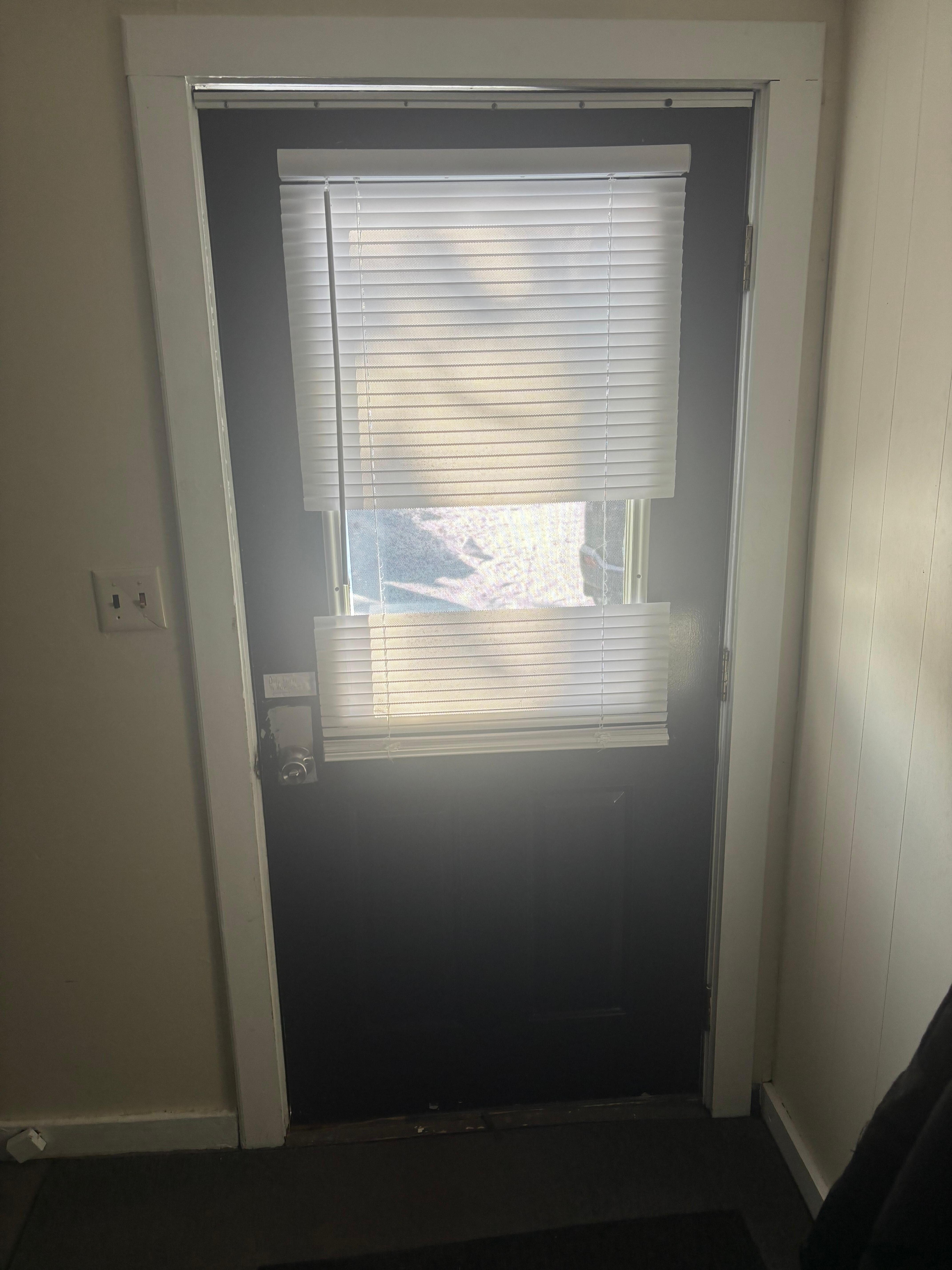 Broken Blinds on Front Door 