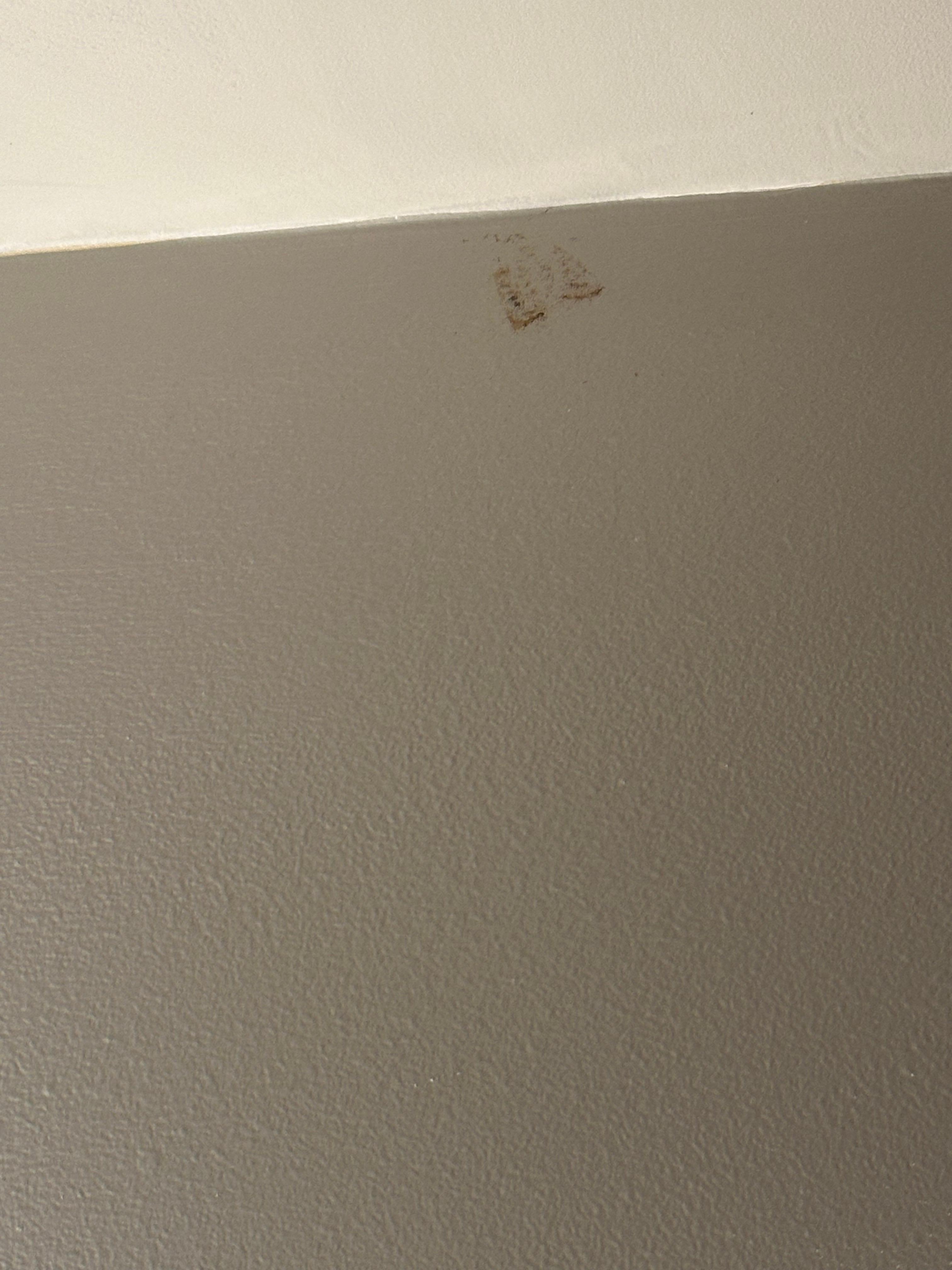 Brown smudge on the wall