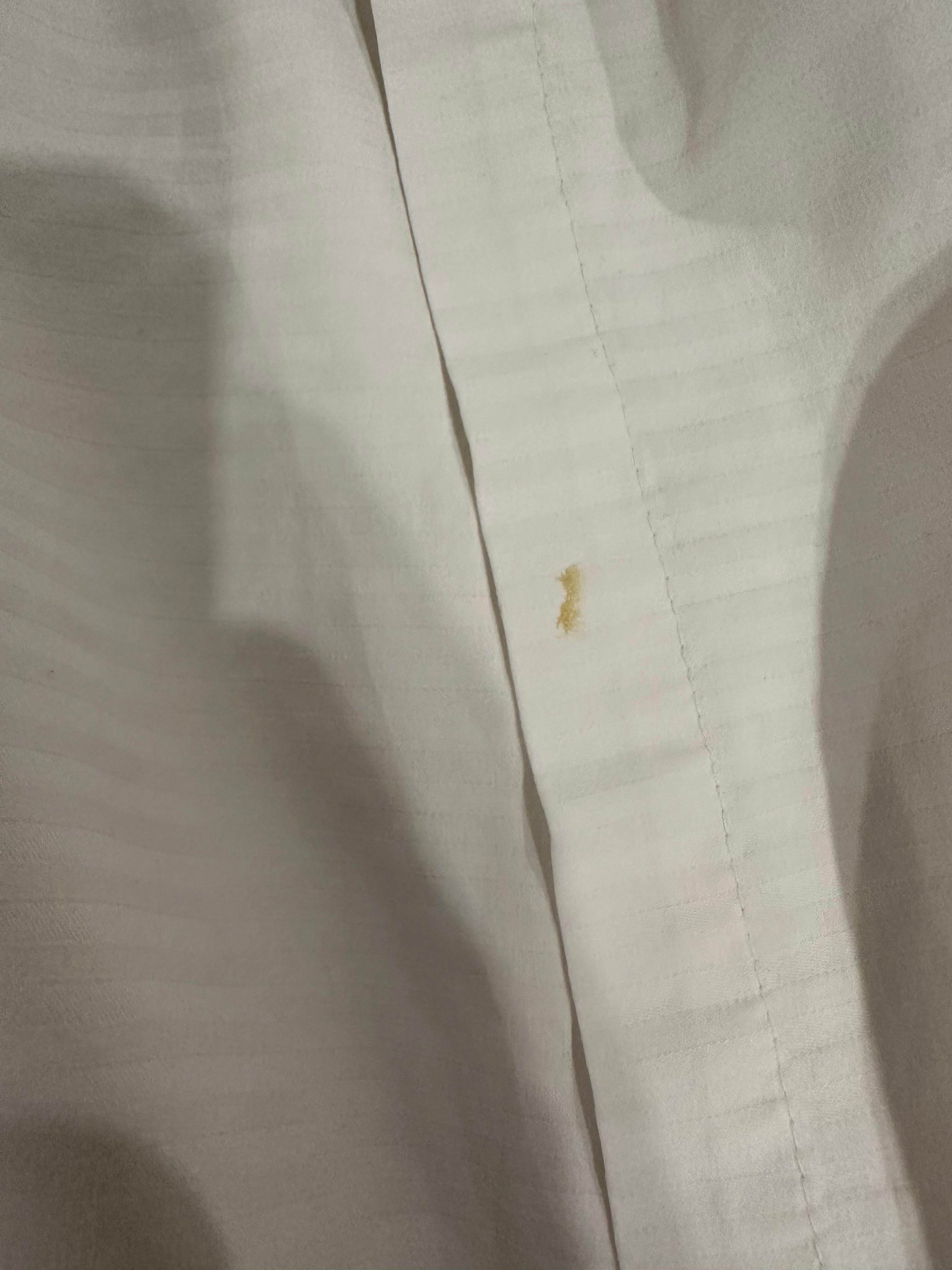 Boogers in multiple spots on the bed