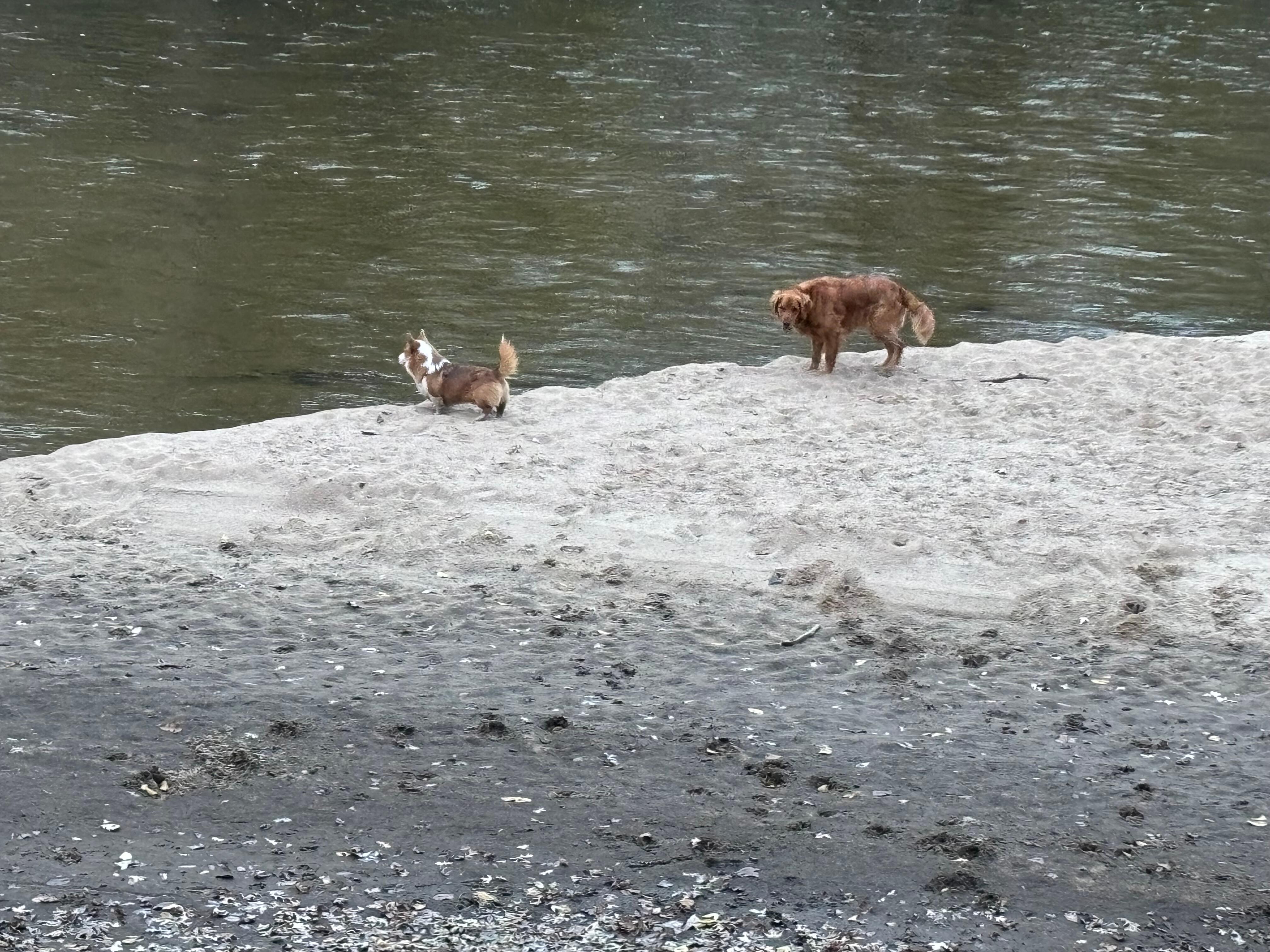 The outside scenery from our deck 