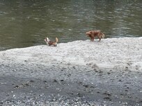 The outside scenery from our deck