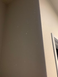 Plaster on the wall