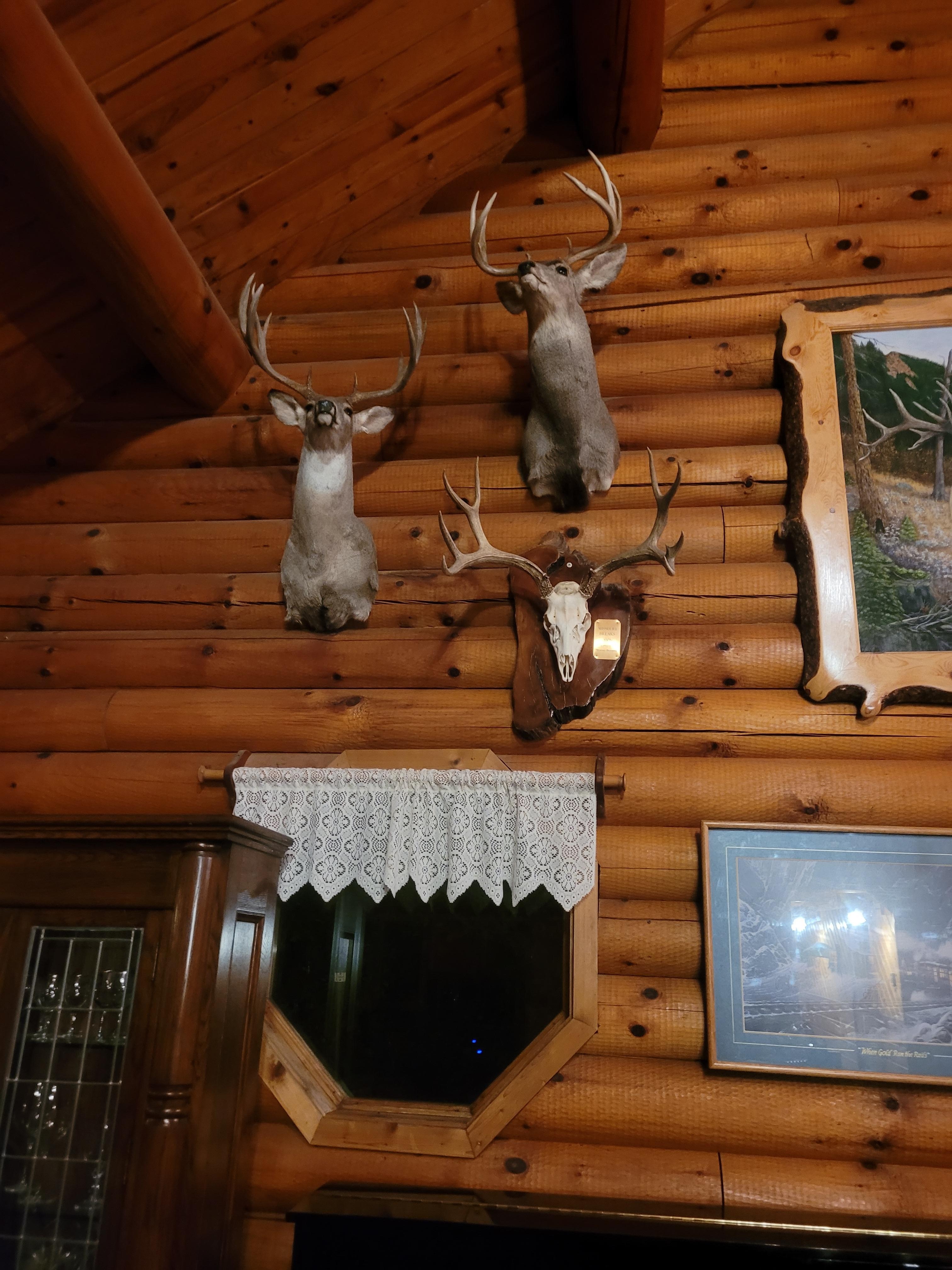 More trophy, nice touch in log cabin