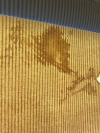 Stain