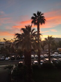 Blick vom Balkon am Morgen