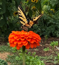 Beautiful gardens.