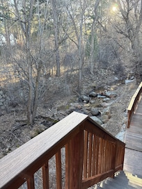 The backyard