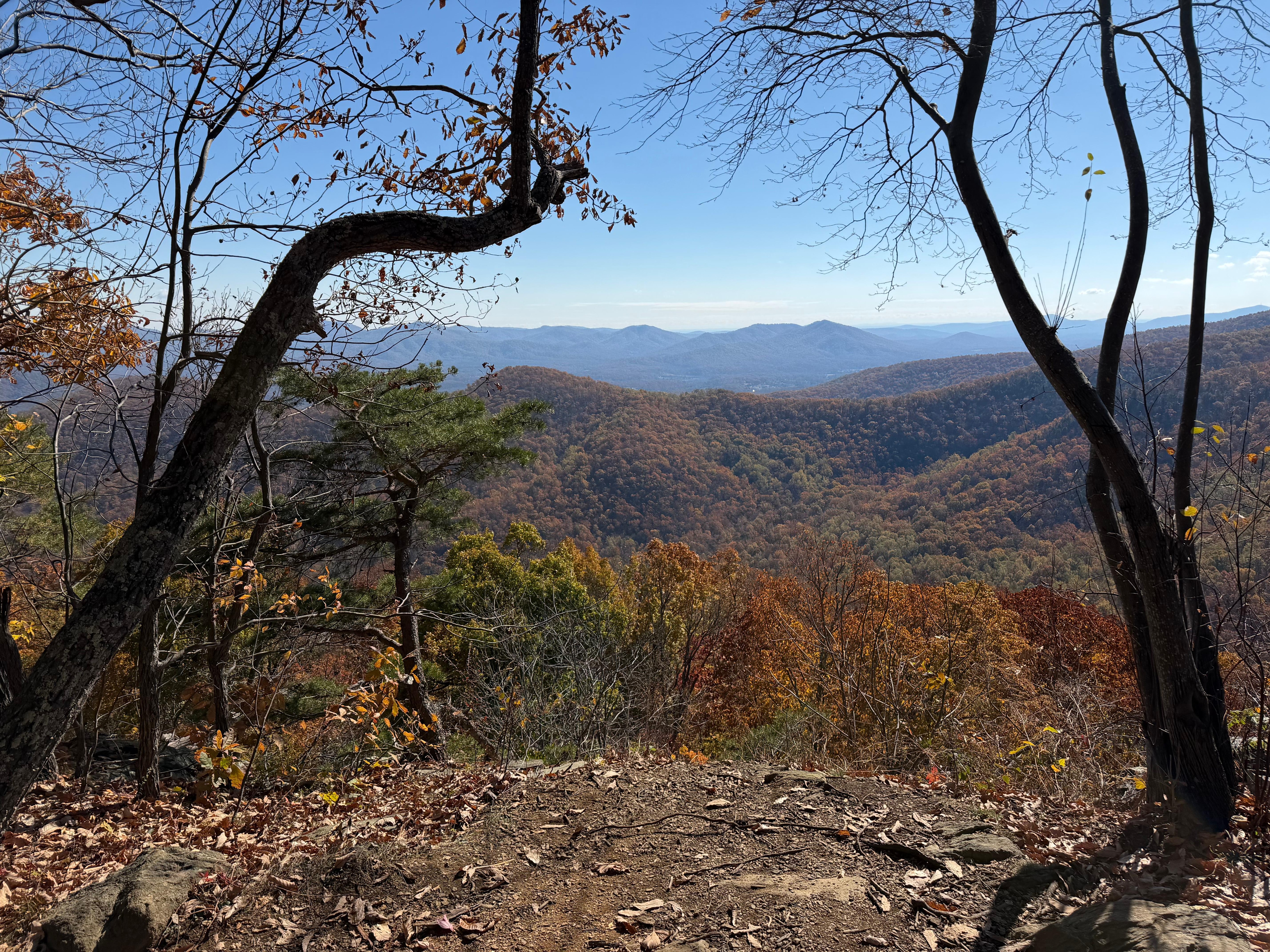 Glass Hollow overlook on the Albright trail nearby.