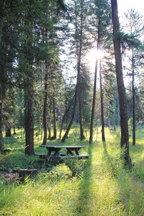 Picnic bench on the property, just out the front door. So peaceful!