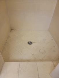 Shower floor