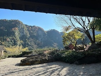 Private meal room view