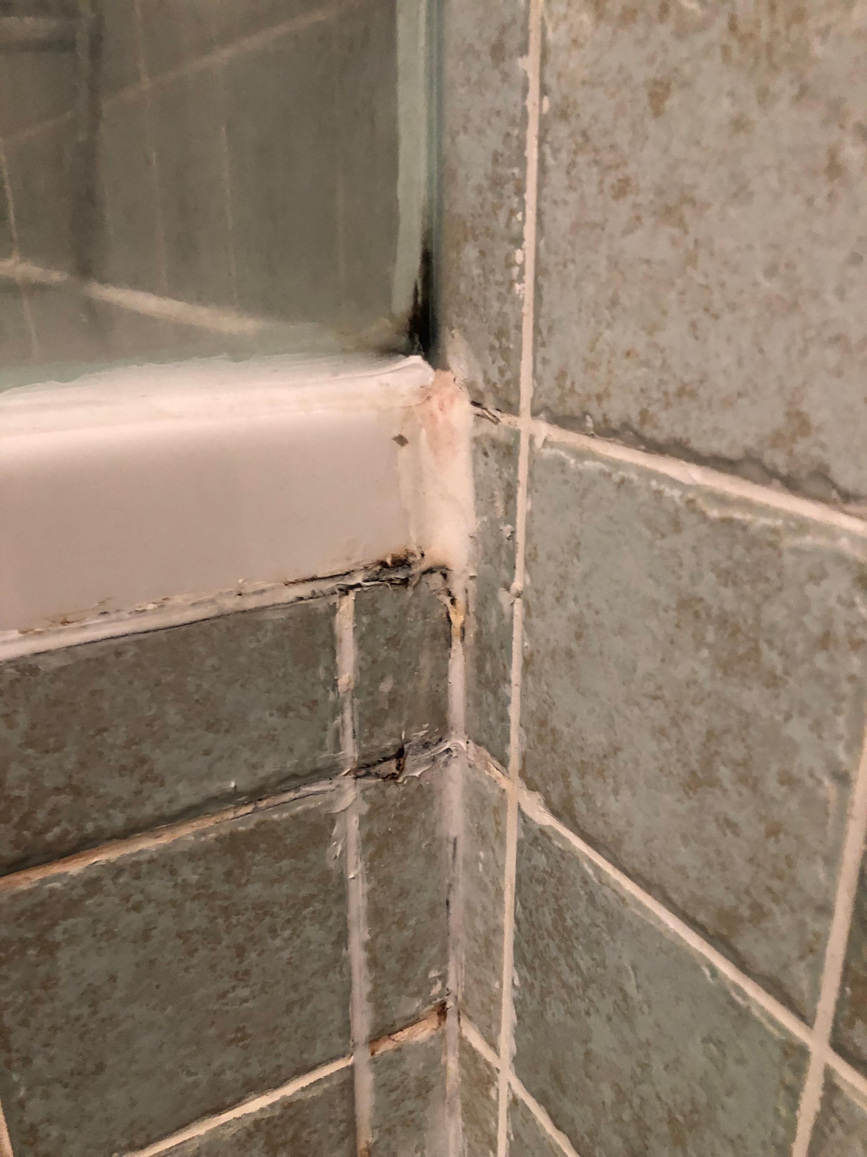 Black mold in the bathroom 
