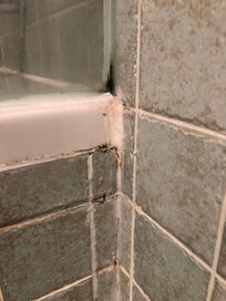 Black mold in the bathroom