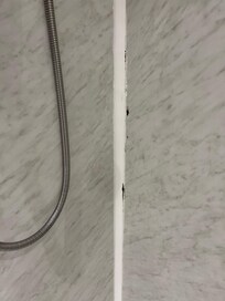 Mold in shower
