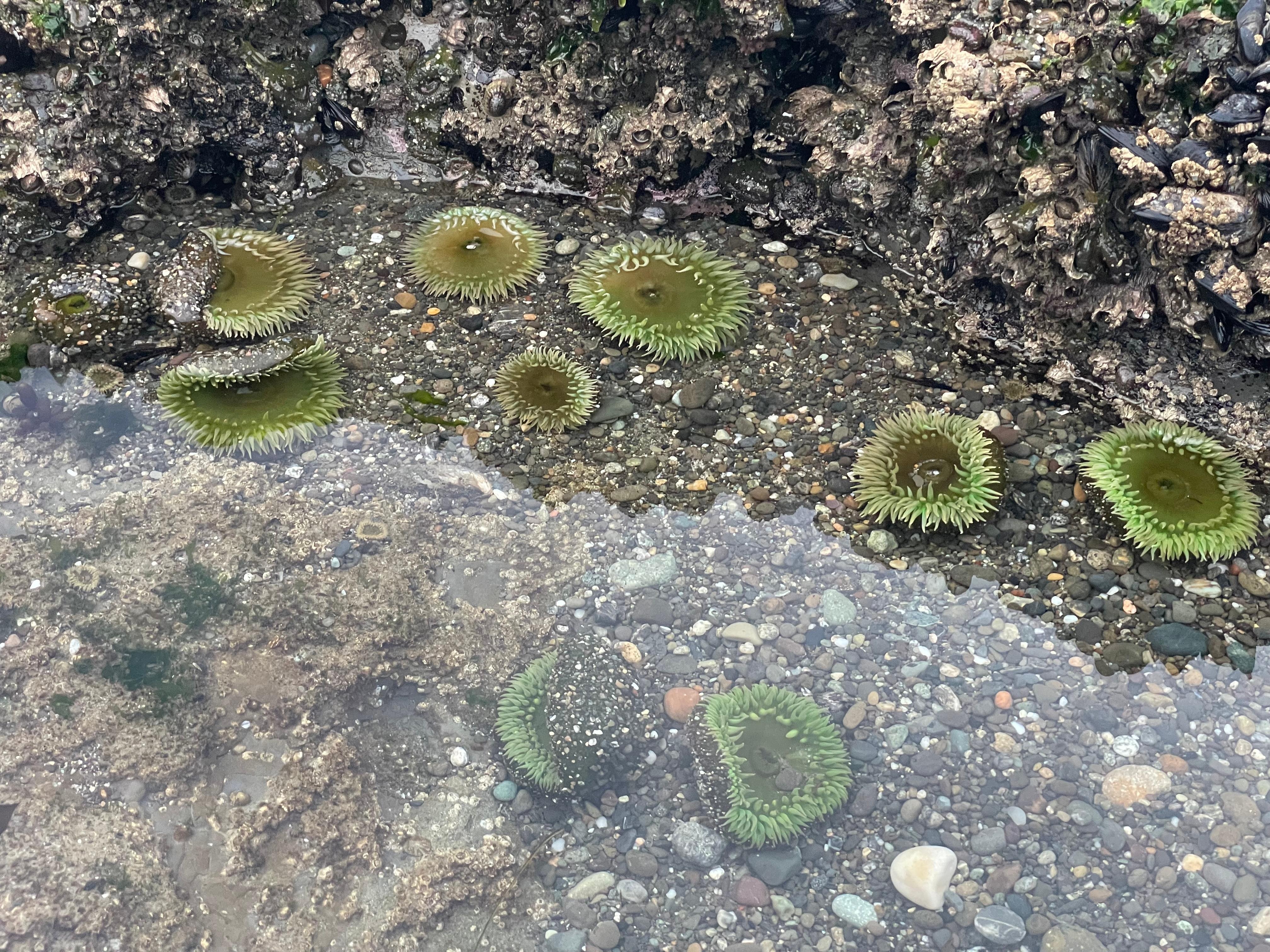 Low tide on our beach