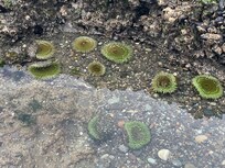Low tide on our beach