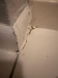 Moldy caulk