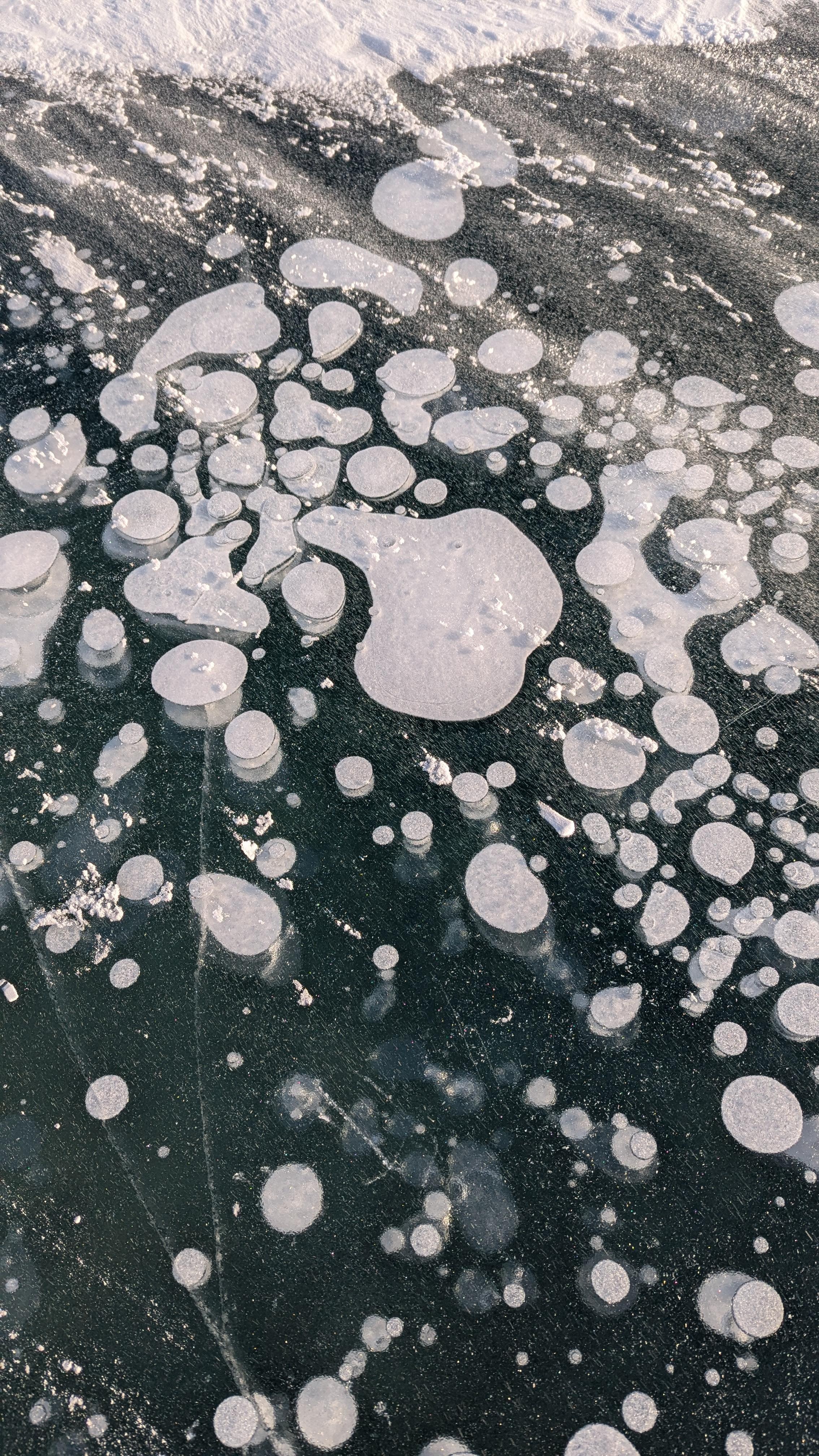 Gas bubbles at Abraham Lake