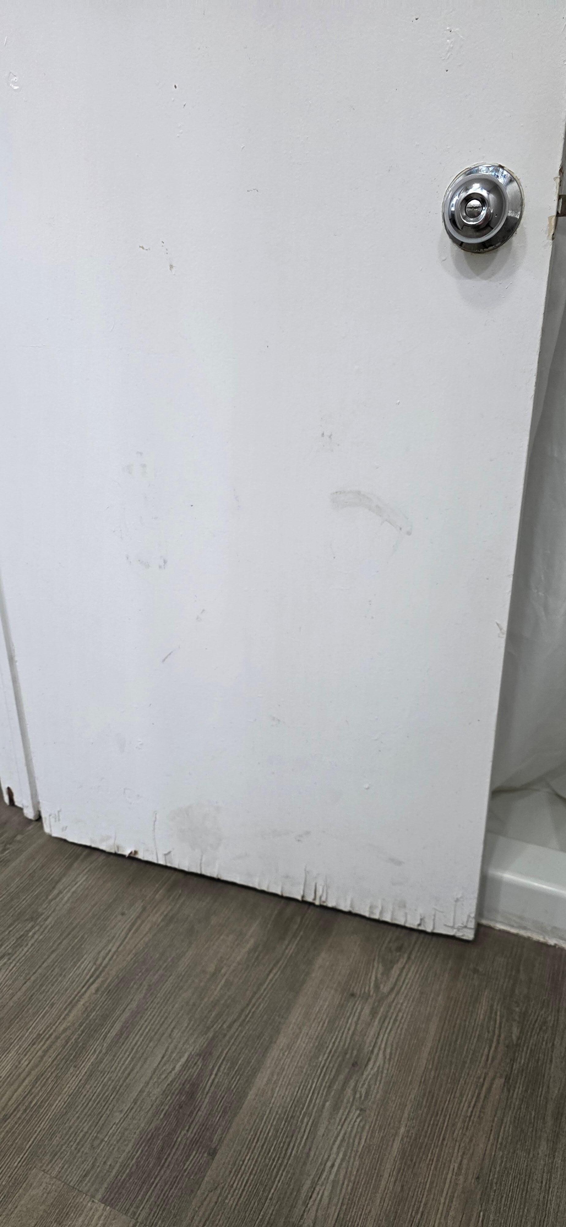 Bathroom door 
