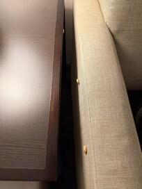 Cheerios stuck to couch and table