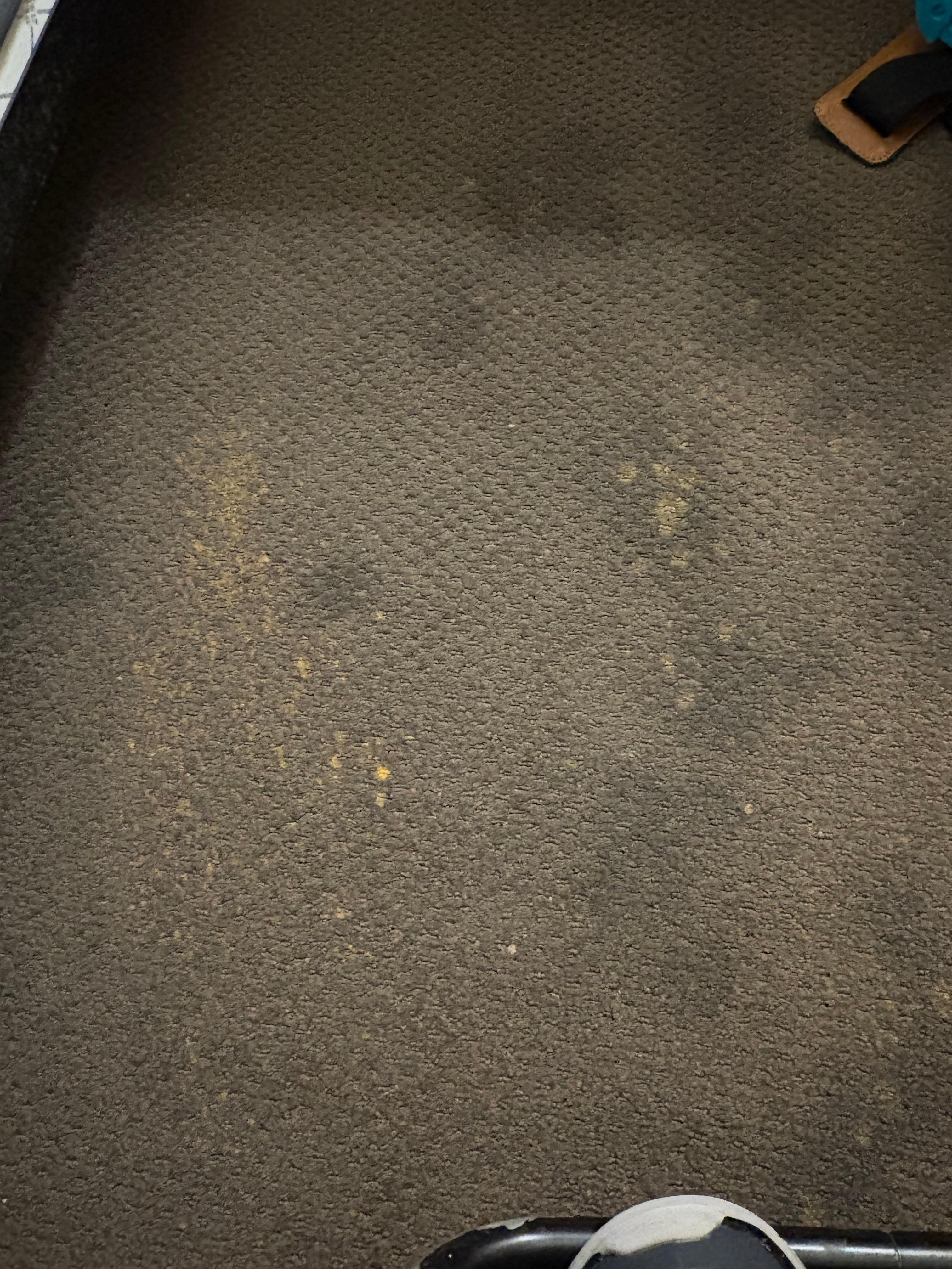 Carpet stains