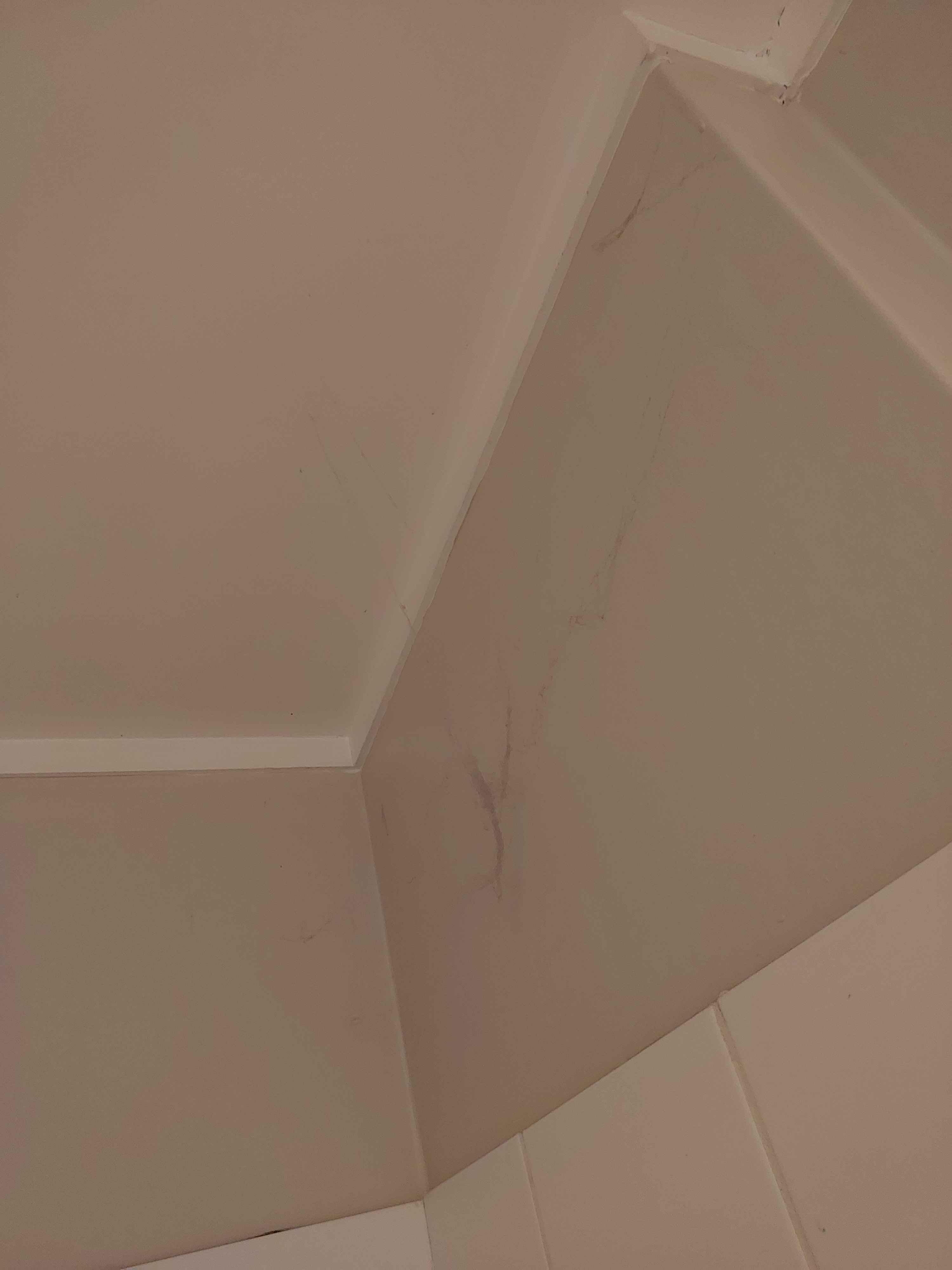 Some of the cobwebs in the bathroom 