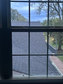 My garden view