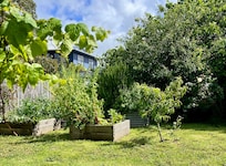 Back yard with vegetable tubs