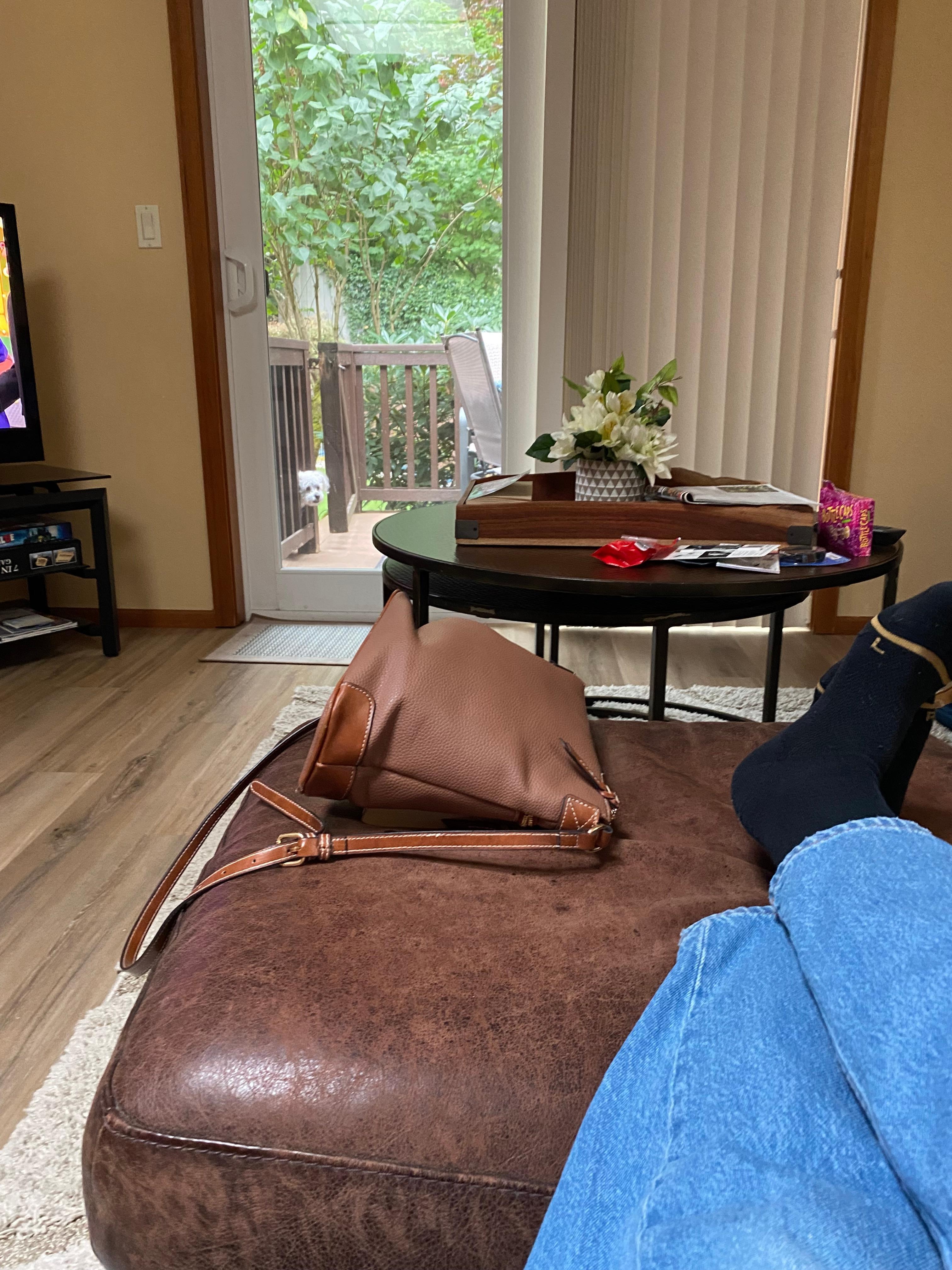 We had a little visitor making sure we were enjoying our stay