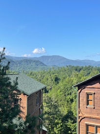 View from porch