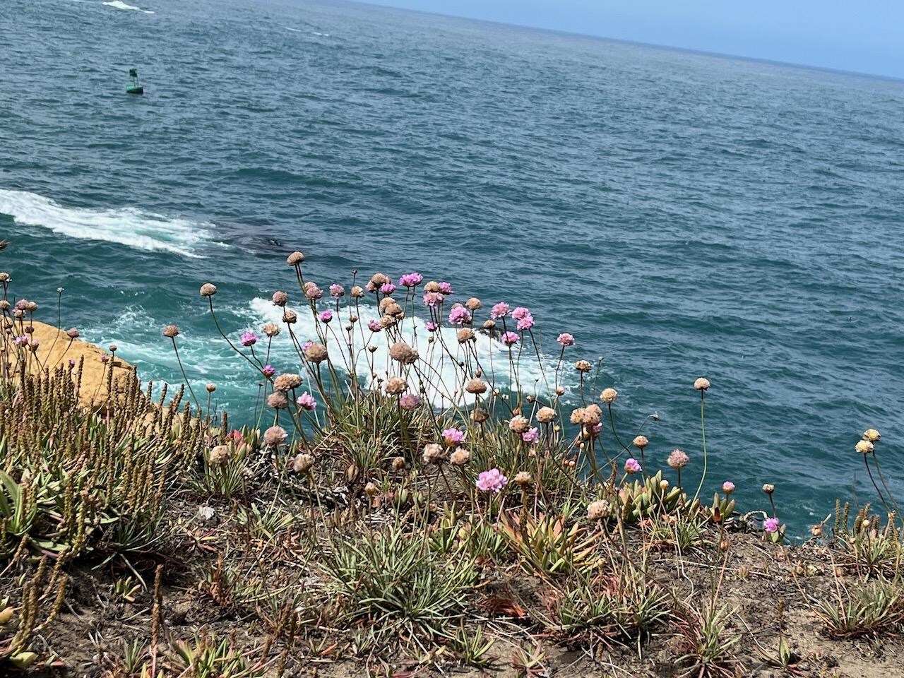 on the Headlands